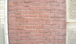wp99b3ff02_0f.jpg